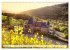 Romantisches Moselland (Wandkalender... - Bild 4