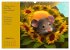 Der Maus Kalender (Wandkalender 2026... - Bild 14