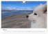 Ein Samojede am Meer (Wandkalender 2026... - Bild 11