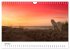 Ein Samojede am Meer (Wandkalender 2026... - Bild 12