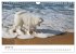 Ein Samojede am Meer (Wandkalender 2026... - Bild 7