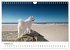 Ein Samojede am Meer (Wandkalender 2026... - Bild 8