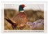 Deutsches Jagdwild - Waidmannsheil... - Bild 10