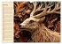 Tierwelt mit Quilling (Wandkalender... - Bild 12