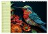 Tierwelt mit Quilling (Wandkalender... - Bild 13
