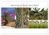 Typisch Kreta (Wandkalender 2026 DIN A2... - Bild 5