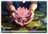 Yoga, die innere Balance (Wandkalender... - Bild 15