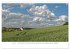 Panorama der Heimat Landkreis Freising... - Bild 12