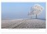 Panorama der Heimat Landkreis Freising... - Bild 5