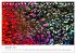 Abstrakte Regenbogen (Tischkalender... - Bild 5