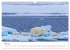 Spitzbergen - Eis, Eisbären und mehr... - Bild 11