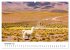 Lamas in Südamerika (hochwertiger... - Bild 3