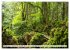 Traumhafte Wälder (hochwertiger... - Bild 2