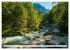 Traumhafte Wälder (hochwertiger... - Bild 14