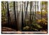 Traumhafte Wälder (hochwertiger... - Bild 7
