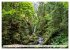 Traumhafte Wälder (hochwertiger... - Bild 8