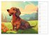 Dackel (Wandkalender 2026 DIN A3 quer),... - Bild 11