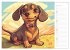 Dackel (Wandkalender 2026 DIN A3 quer),... - Bild 13
