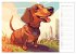 Dackel (Wandkalender 2026 DIN A3 quer),... - Bild 15