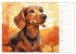 Dackel (Wandkalender 2026 DIN A3 quer),... - Bild 3