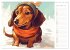 Dackel (Wandkalender 2026 DIN A3 quer),... - Bild 5