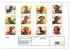 Dackel (Wandkalender 2026 DIN A3 quer),... - Bild 6