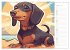 Dackel (Wandkalender 2026 DIN A3 quer),... - Bild 10
