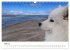 Ein Samojede am Meer (Wandkalender 2026... - Bild 11