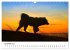 Ein Samojede am Meer (Wandkalender 2026... - Bild 4