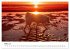 Ein Samojede am Meer (Wandkalender 2026... - Bild 9