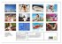 Faszination Leichtathletik: Schneller,... - Bild 6