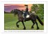 Friesen - elegant und kraftvoll... - Bild 14