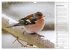 Finkenparade (Wandkalender 2026 DIN A3... - Bild 7