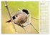 Finkenparade (Wandkalender 2026 DIN A3... - Bild 10