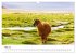 Lamas in Südamerika (Wandkalender 2026... - Bild 11