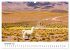 Lamas in Südamerika (Wandkalender 2026... - Bild 4