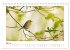 Zauberhafte Rotkehlchen (Tischkalender... - Bild 11