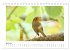 Zauberhafte Rotkehlchen (Tischkalender... - Bild 12