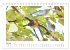 Zauberhafte Rotkehlchen (Tischkalender... - Bild 13