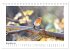 Zauberhafte Rotkehlchen (Tischkalender... - Bild 4