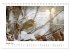 Zauberhafte Rotkehlchen (Tischkalender... - Bild 7