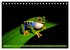 Fotogalerie Fotogalerie