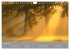 Nebelzauber (Wandkalender 2026 DIN A4... - Bild 11