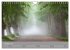 Nebelzauber (Wandkalender 2026 DIN A4... - Bild 3