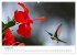 Fotogalerie Fotogalerie
