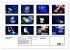 In der Welt der Medusen (Wandkalender... - Bild 6