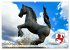 Erholungsort Schortens (Wandkalender... - Bild 10