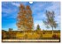 Naturpark Obere Donau (Wandkalender... - Bild 3