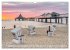 Wunderschöne Ostsee Rügen und Usedom... - Bild 9