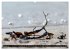 Strandobjekte (Wandkalender 2026 DIN A2... - Bild 14